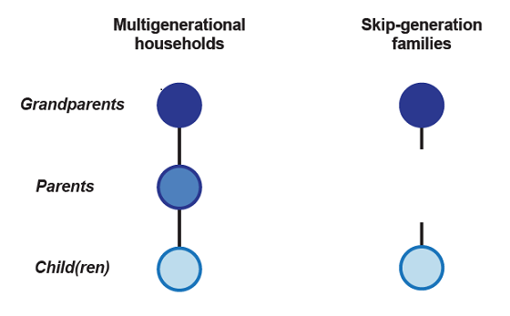 Figure 4: Multigenerational households and skip-generation families